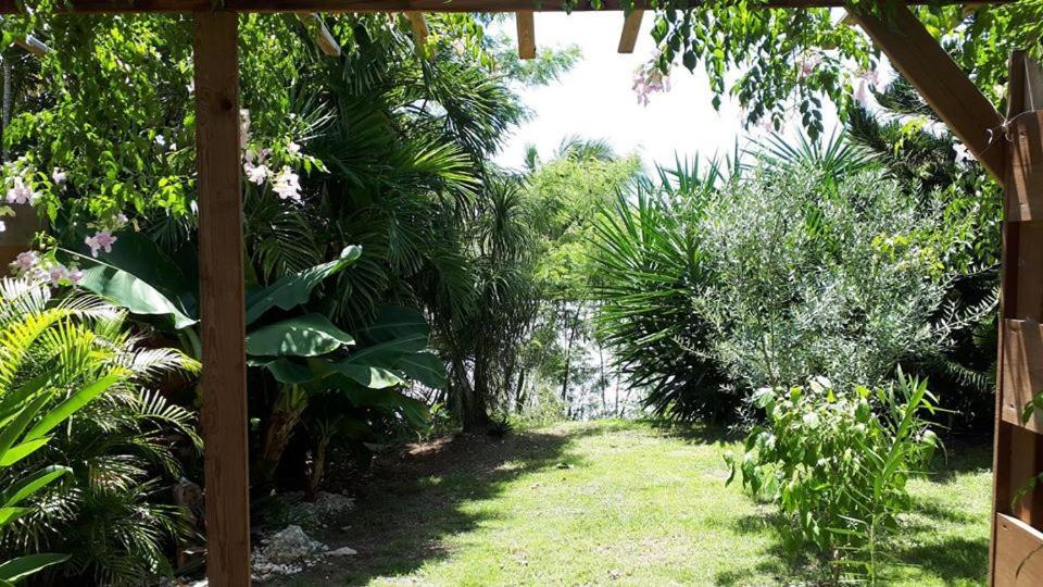 Studio Quisqualis Sainte-Anne (Grande-Terre) Exterior foto